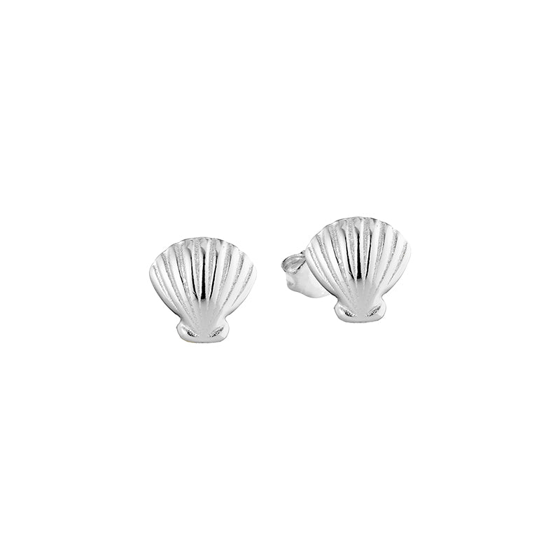 Seashell Studs
