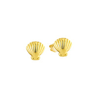 Seashell Studs
