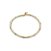 Palas Thick Bangle
