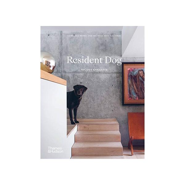 Resident Dog
