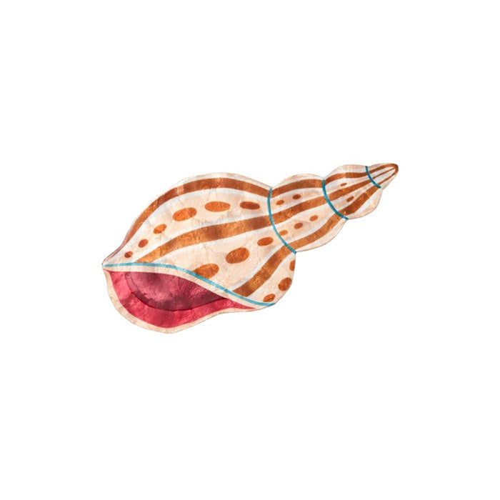 Agnar Shell Wall Art