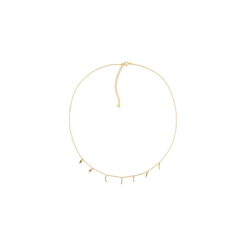 Chilli Charm Necklace